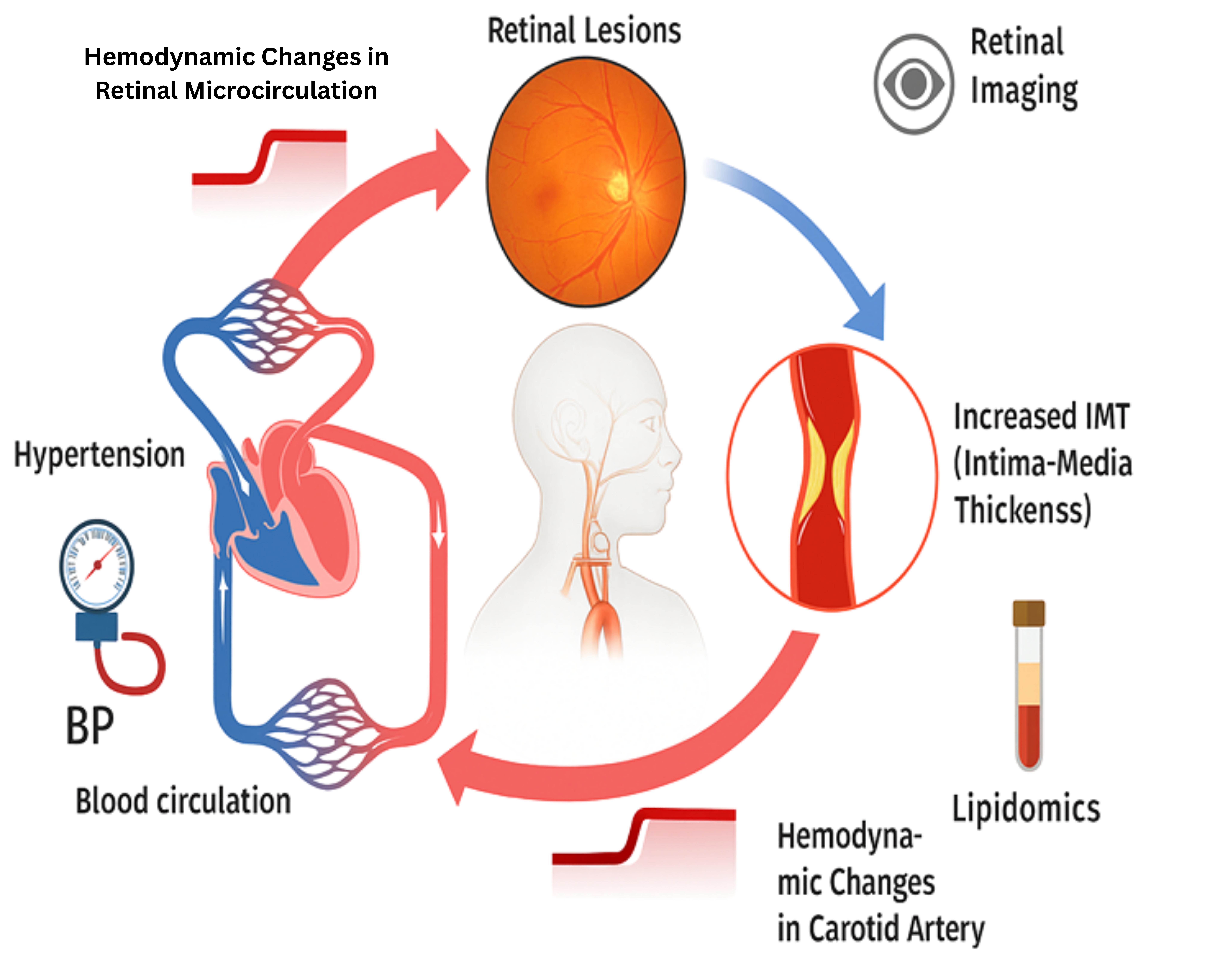 Illustration linking retinal imaging to systemic health