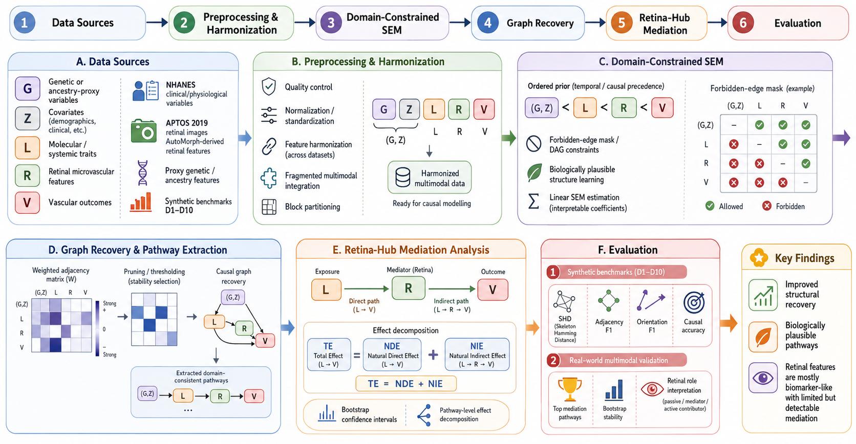 RetiSEM: Generalising Causal Models for Fragmented Biomedical Data